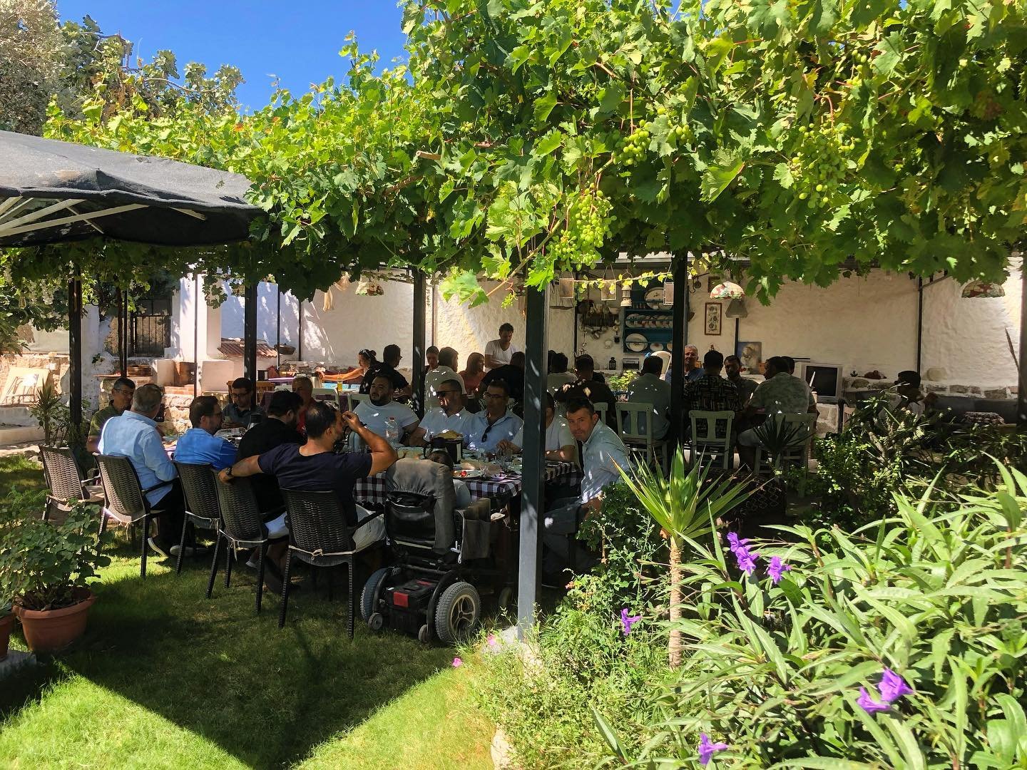 dedemin çiftliği alaçatı 1923 misafirlerimiz